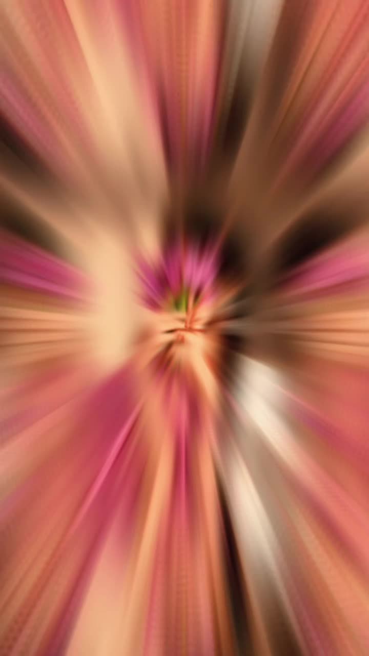 @☆꧁✰(๑˙❥𝖘𝖍𝖆𝖑𝖎𝖓𝖎❥˙๑)✨️✰꧂☆