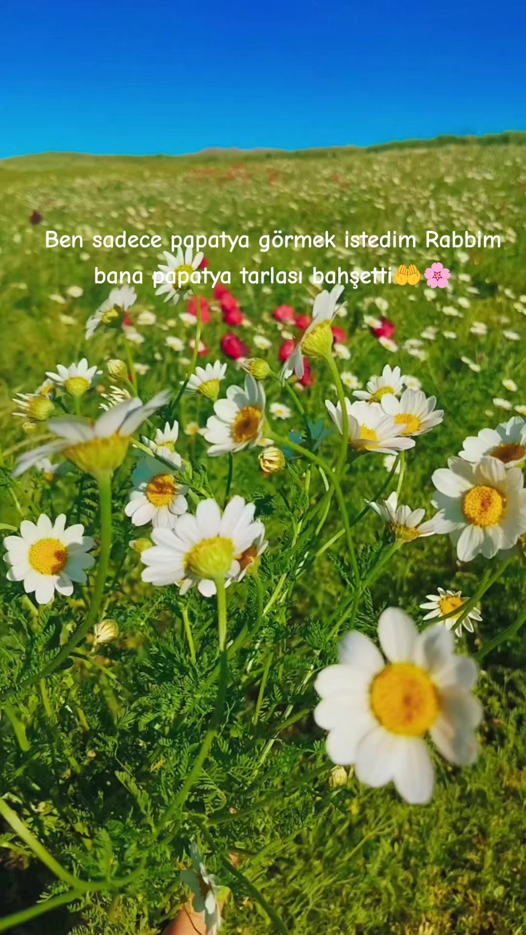 @KAHVELİMMM🦋☕