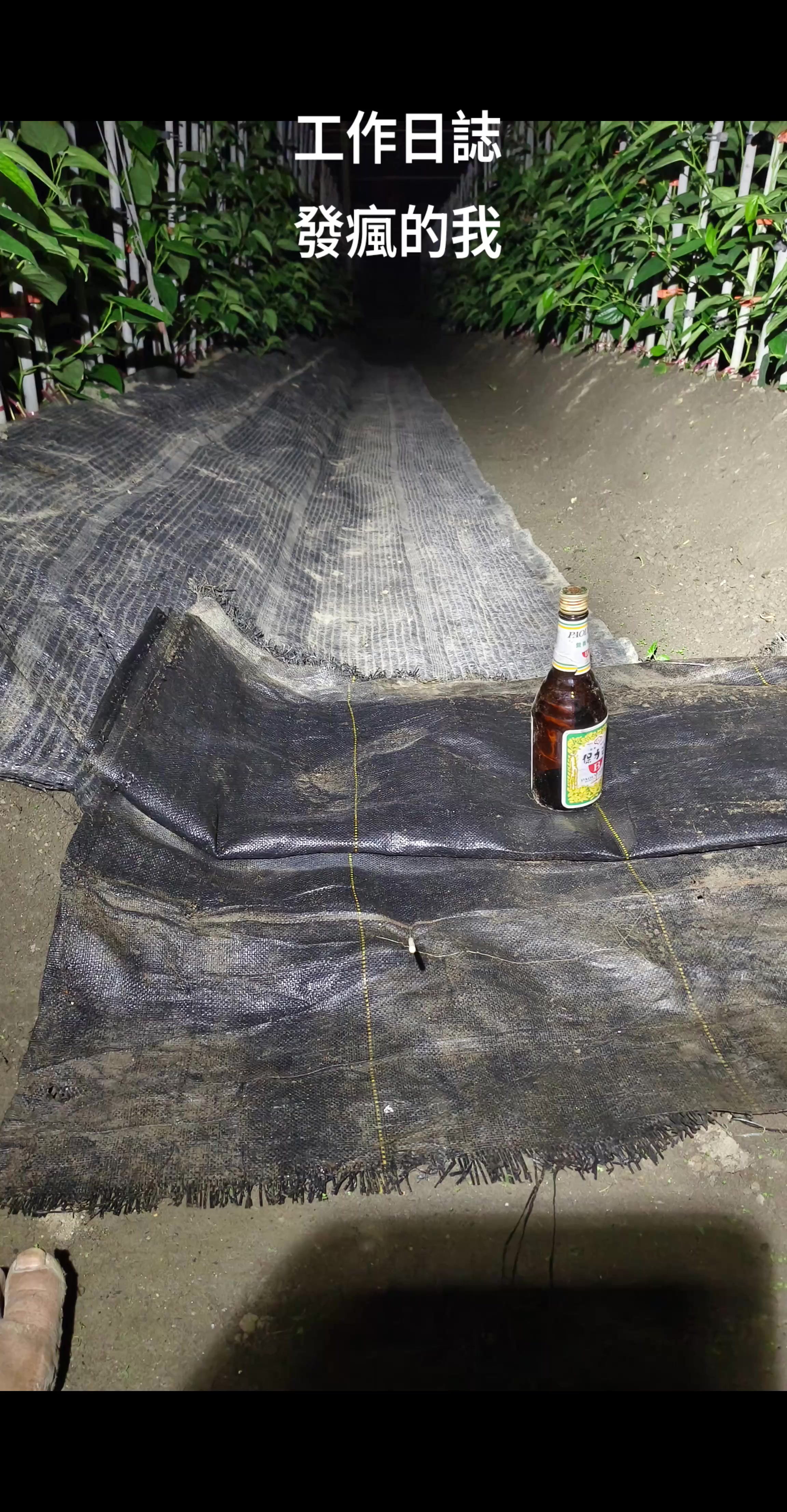 @曾國華(牛奶)