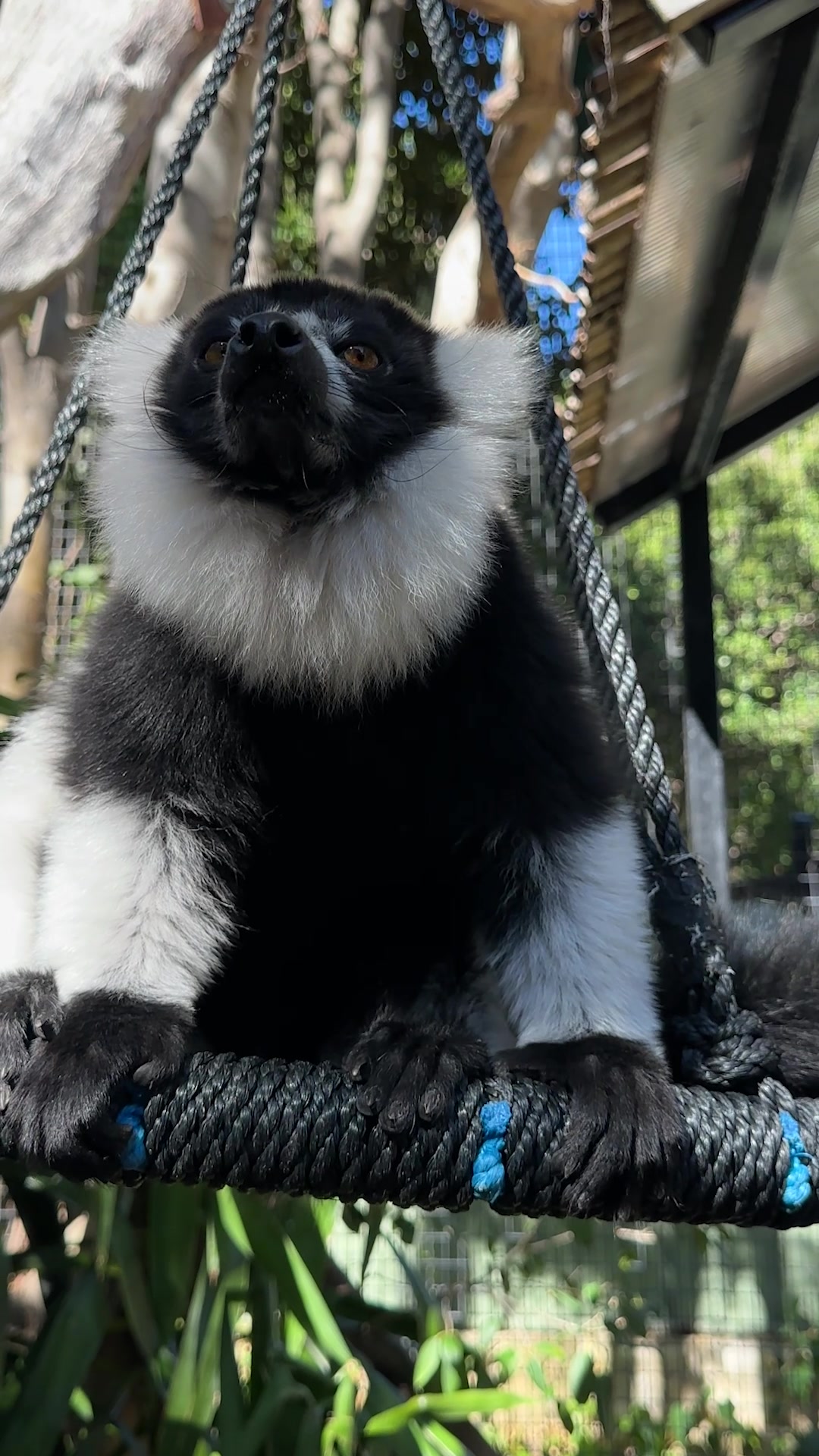 @Perth Zoo