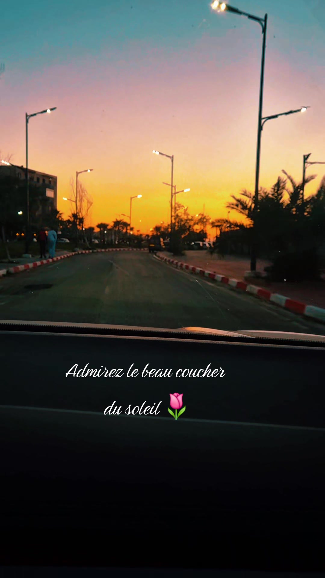 @Roza 🦋