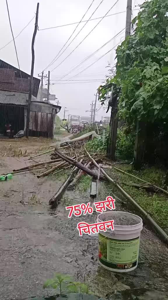 @Digitalmuskan