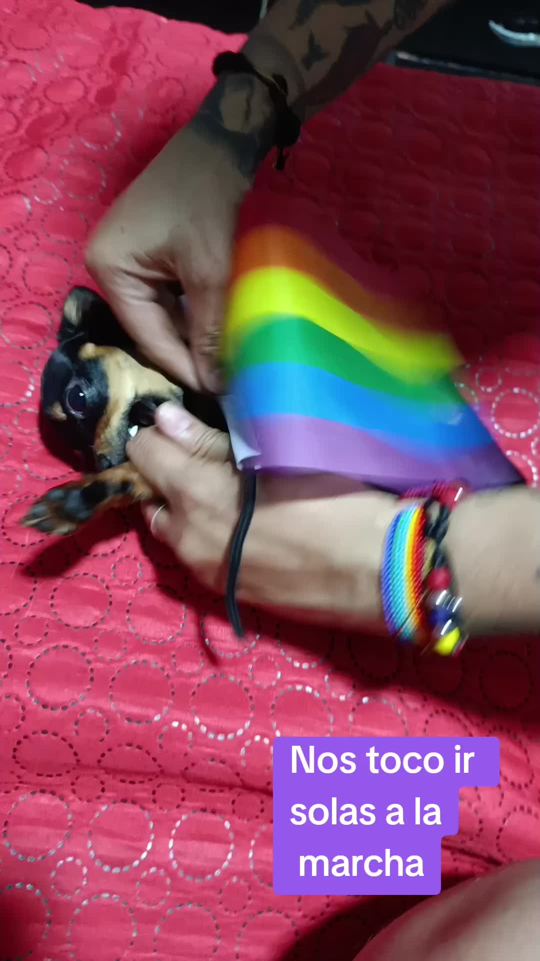 @Paulis🏳️🌈