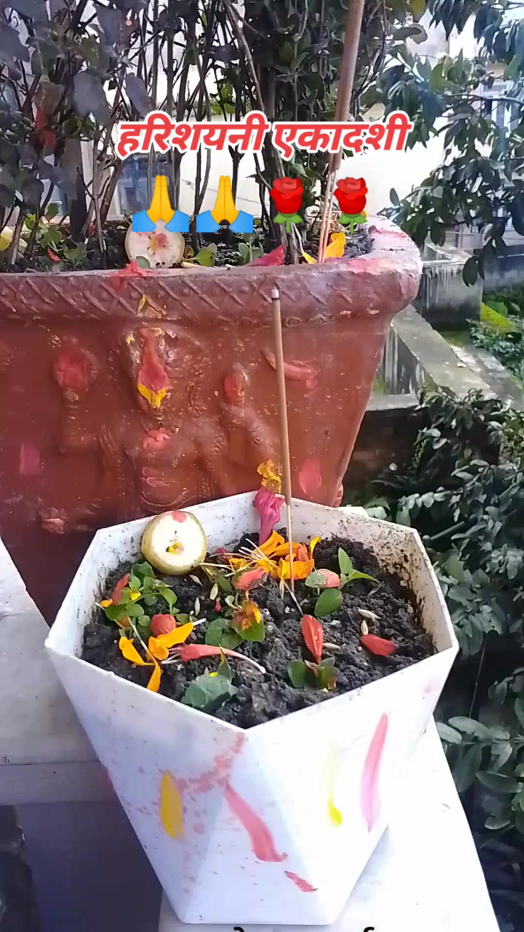 @Babita Bhattarai