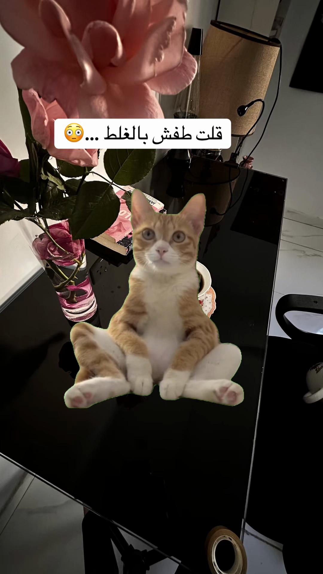 @ℳ𝒪𝒪𝒩🇸🇦💛