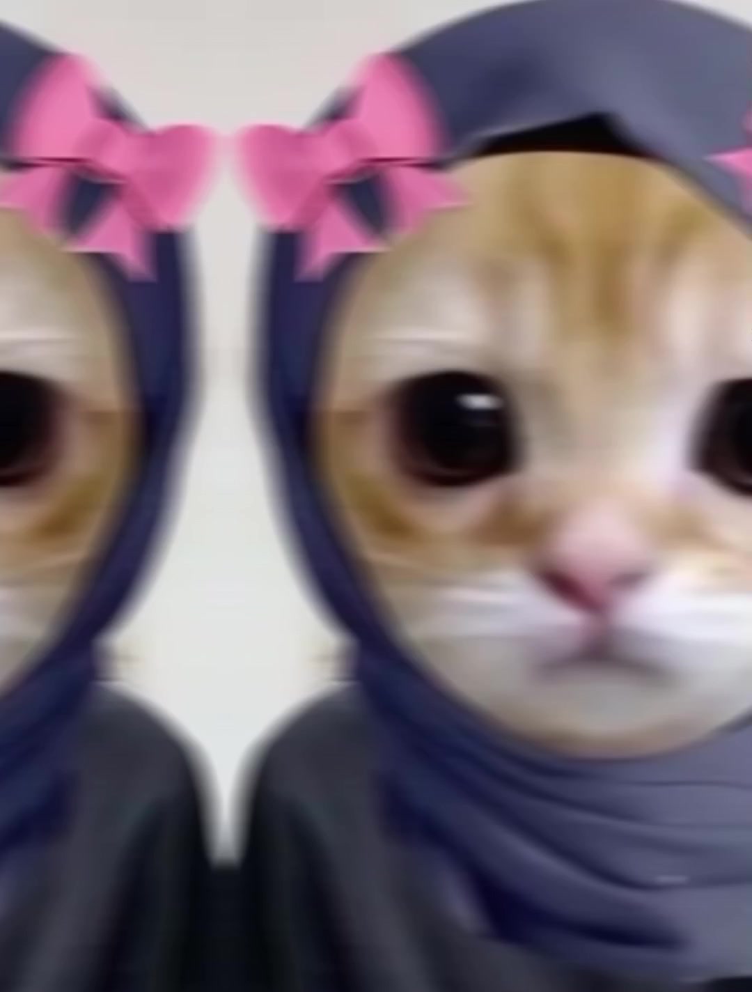 @๐๐ถ๐๐๐น๐๐ท๐๐๐๐ซด๐ป