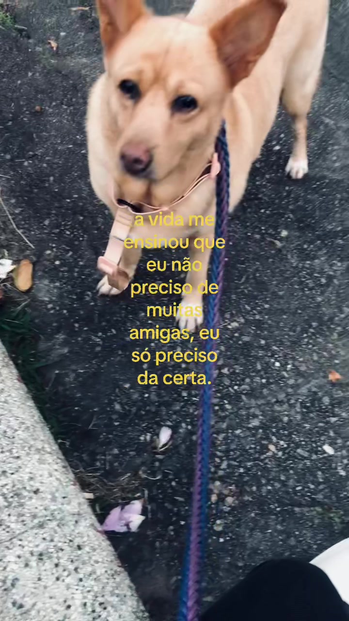 @𓆉