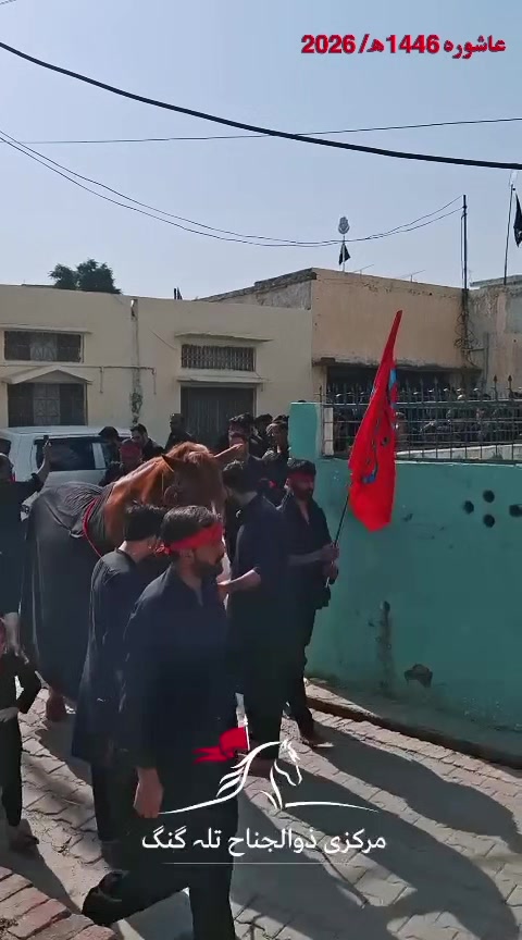 @مرکزی ذوالجناح تلہ گنگ