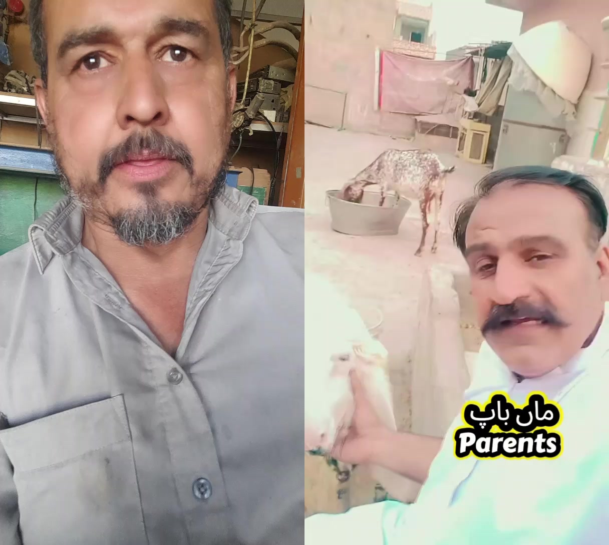@Alam khan