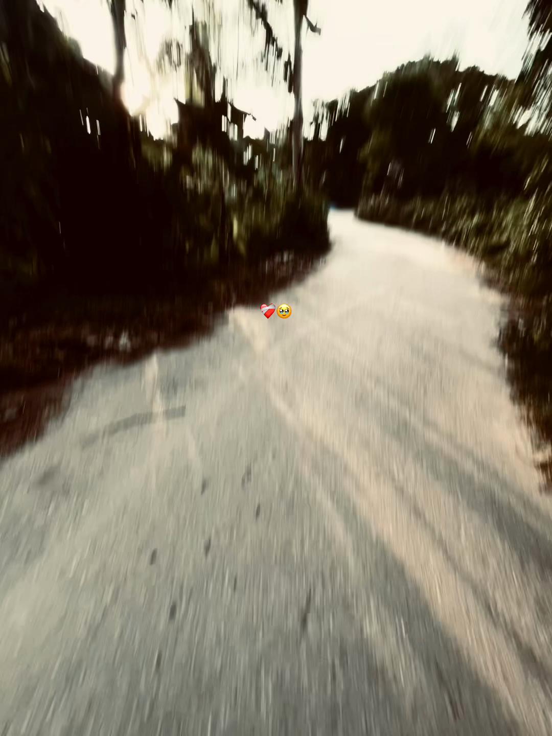 @—͞𝐍𝐈𝐑𝐎𝐁 𝐁𝐛𝐳 !¡
