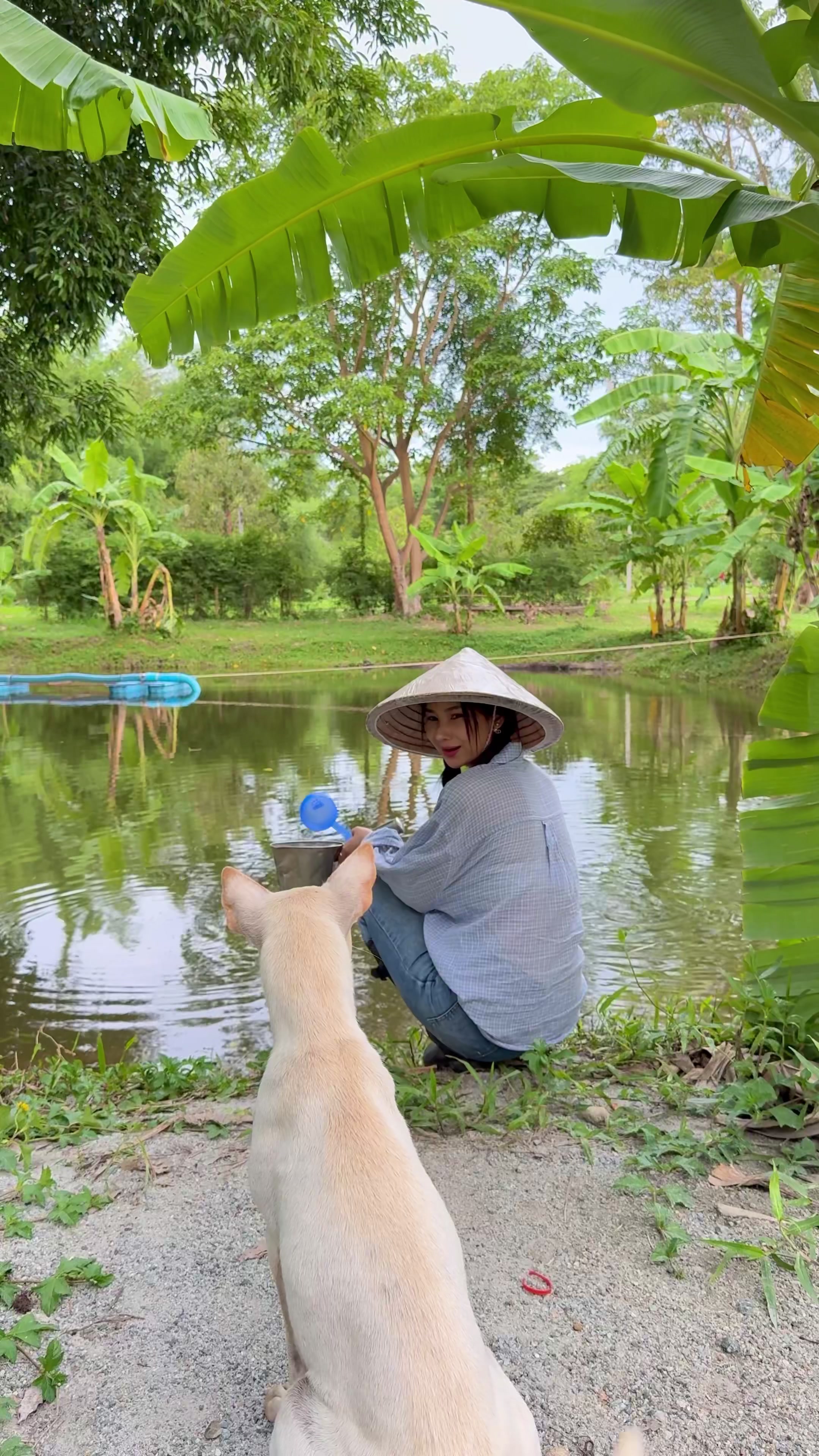 @น้องมดไก่ไข่อารมณ์ดี