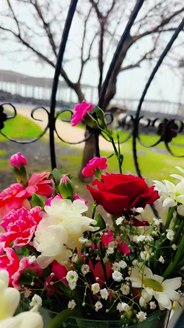 @🌹&ccedil;i&ccedil;eka &ccedil;olı 🌹