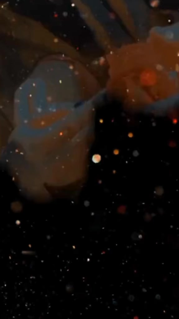 @✨𝑯𝒆𝒆𝒓𝒐
