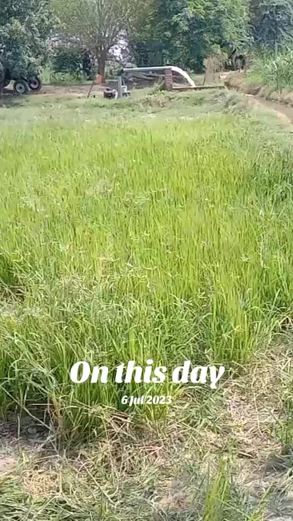 @murtazasandhu5994
