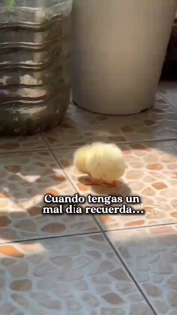 @Gerardo G&oacute;mez