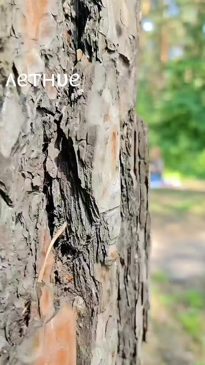 @Арья✨