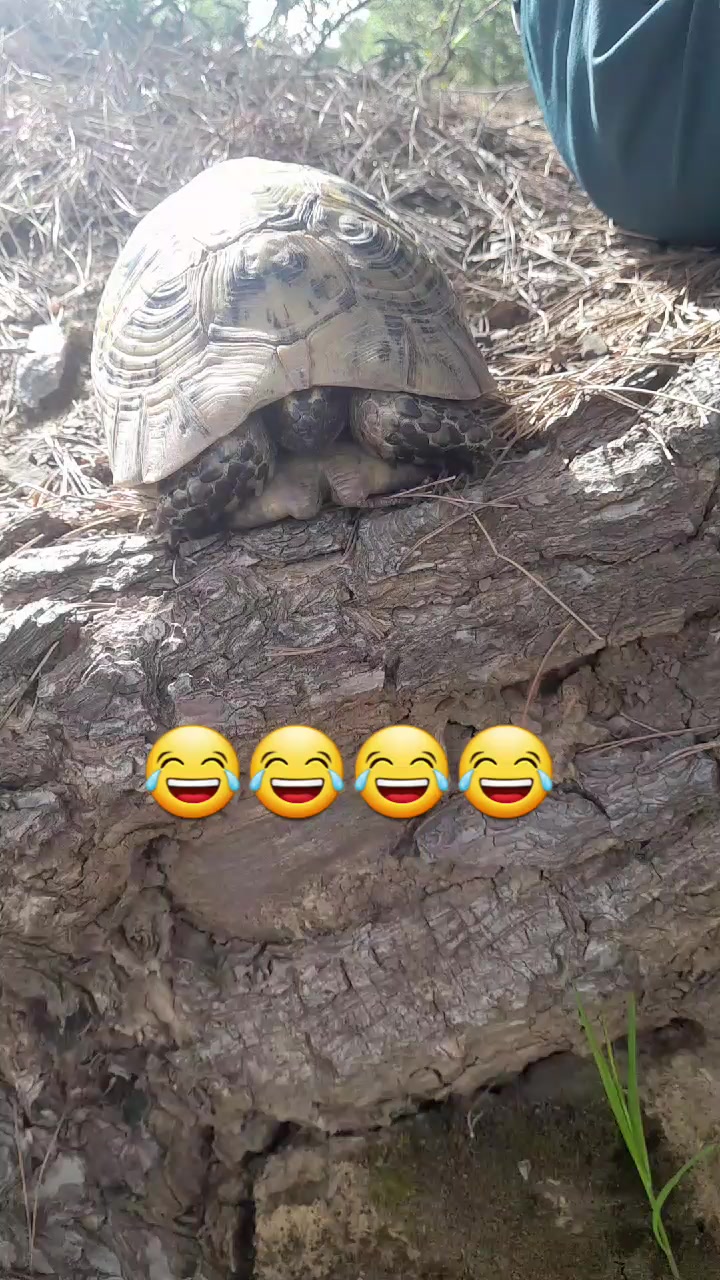 @بث مباشر الان