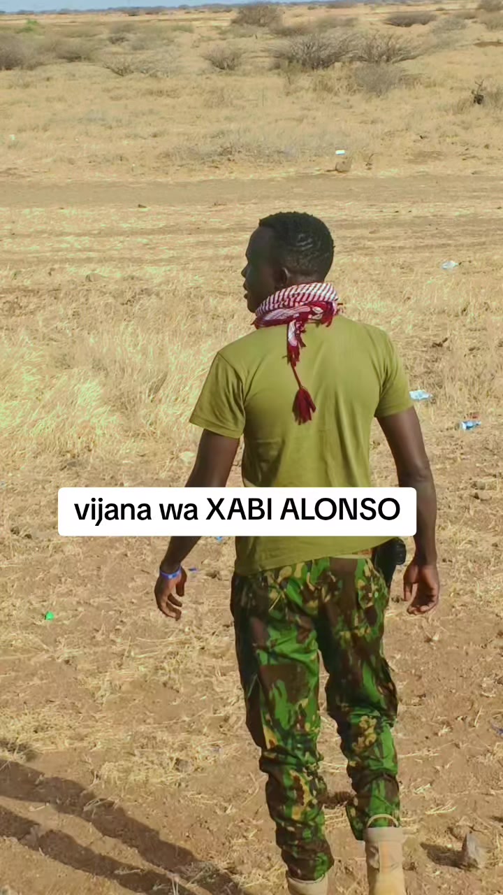 @lojao