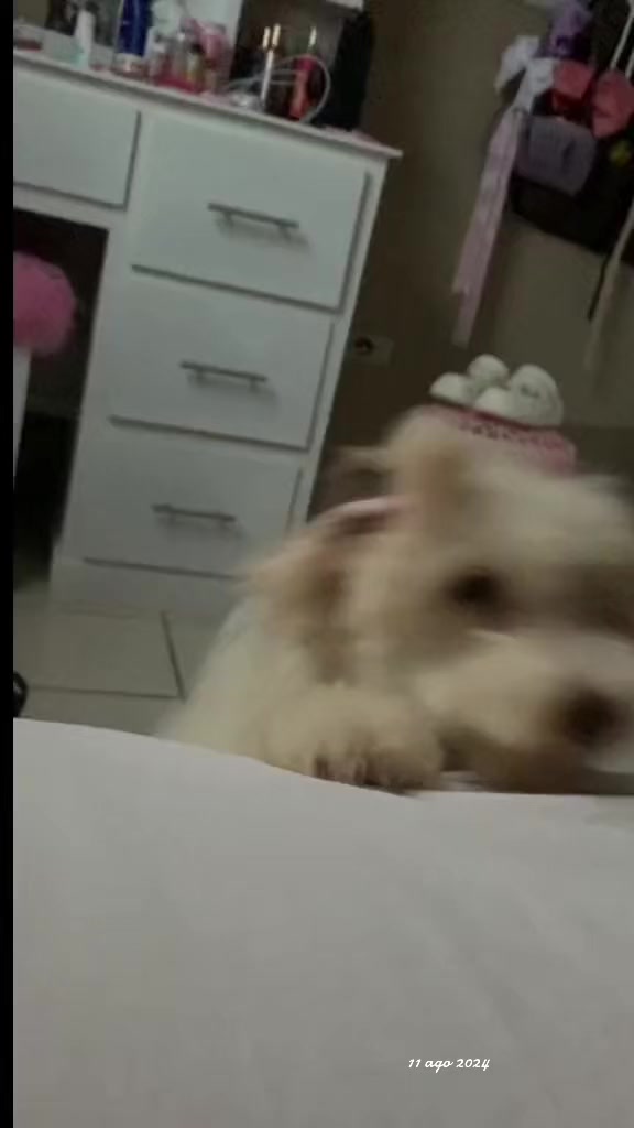 @Patric