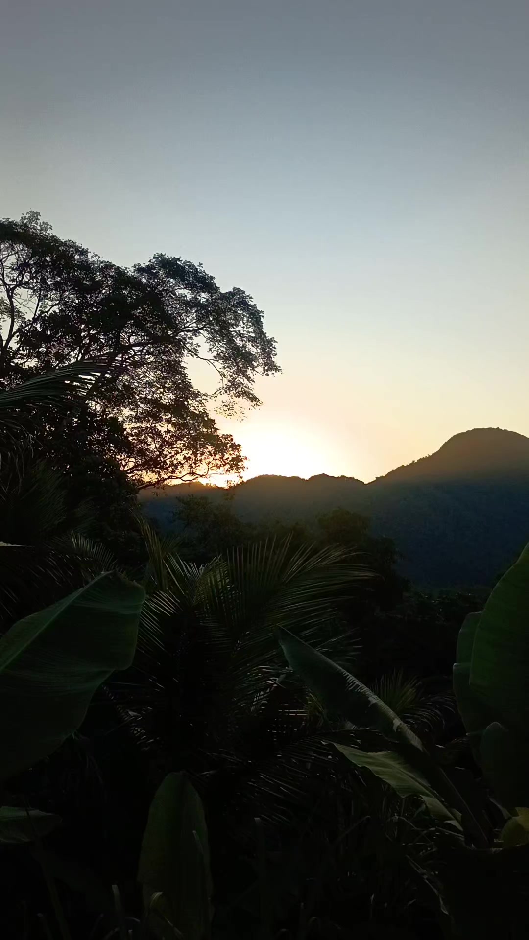 @vilmar alemão