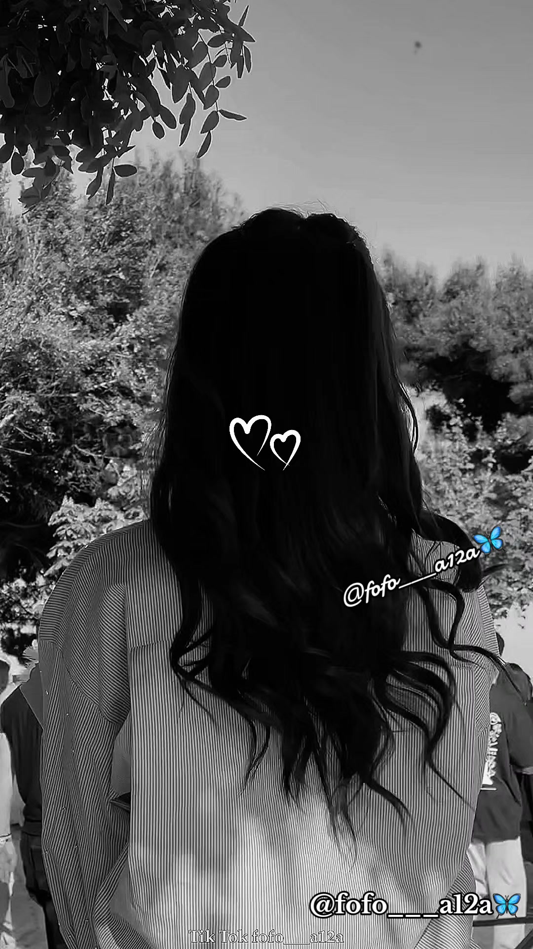@✨🦋فراشـᬼ❥᭄❥ᬼـة🦋✨