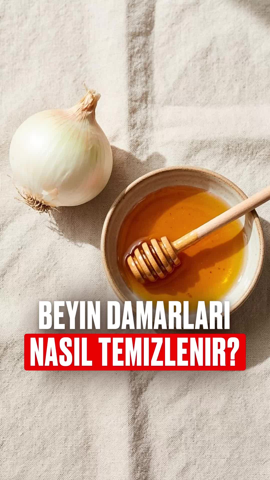 @Bolotov_Merkezi