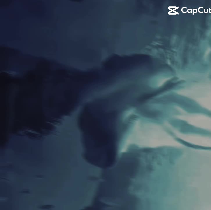 @nikichu