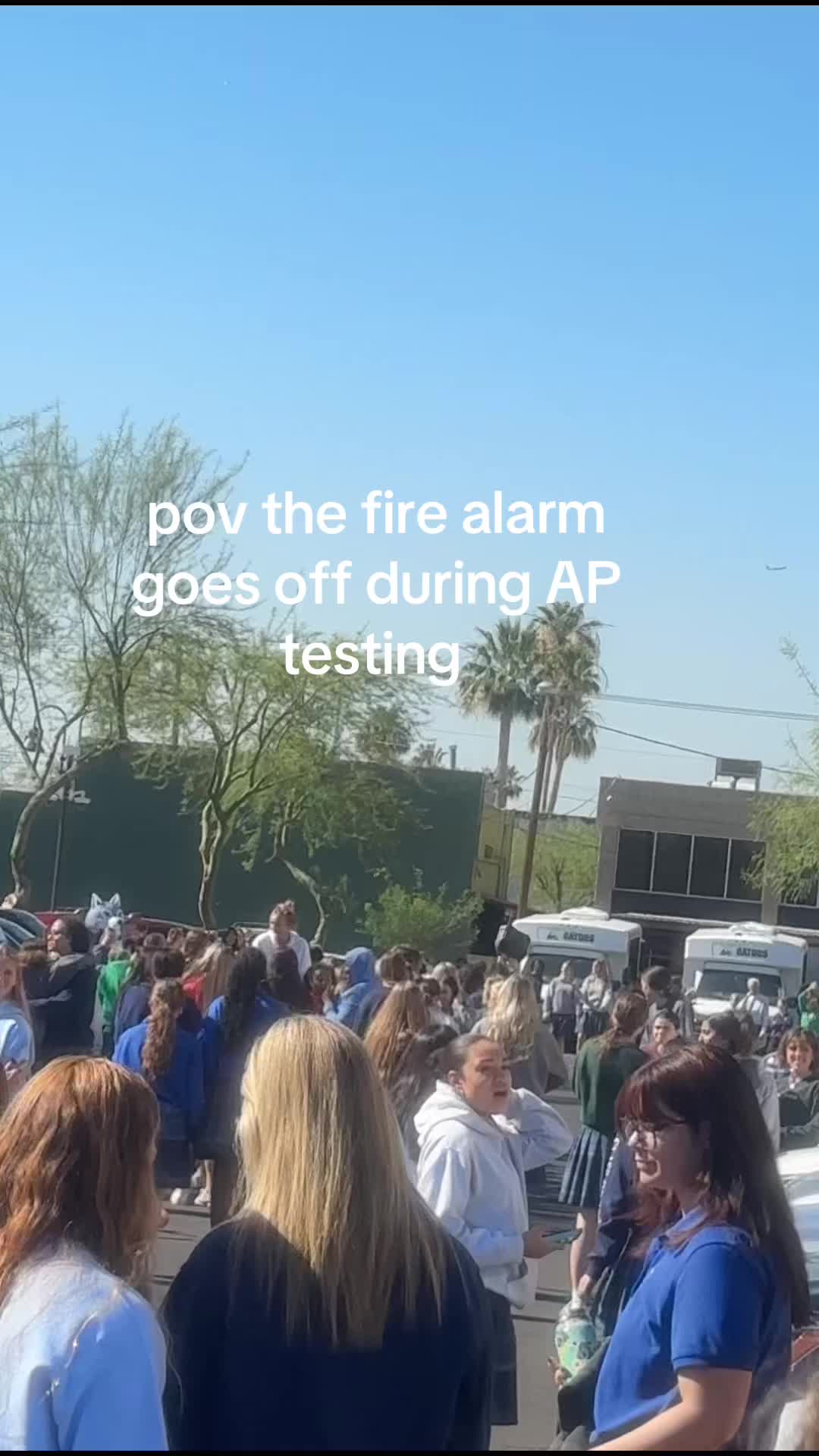 @cassidy