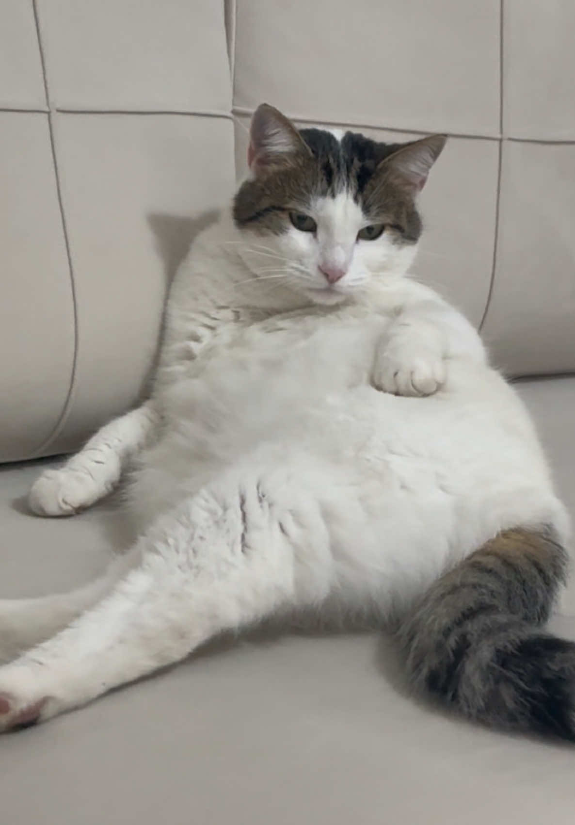 @Kiki