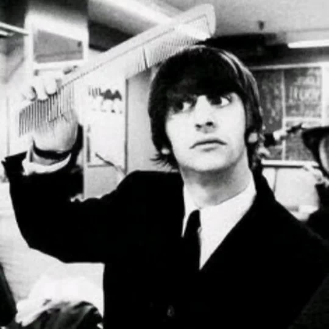 @✦—Ringo!—✦