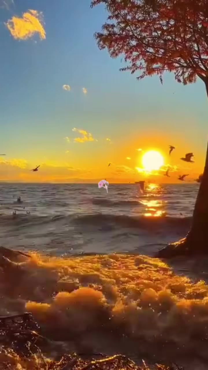 @Zarah1865
