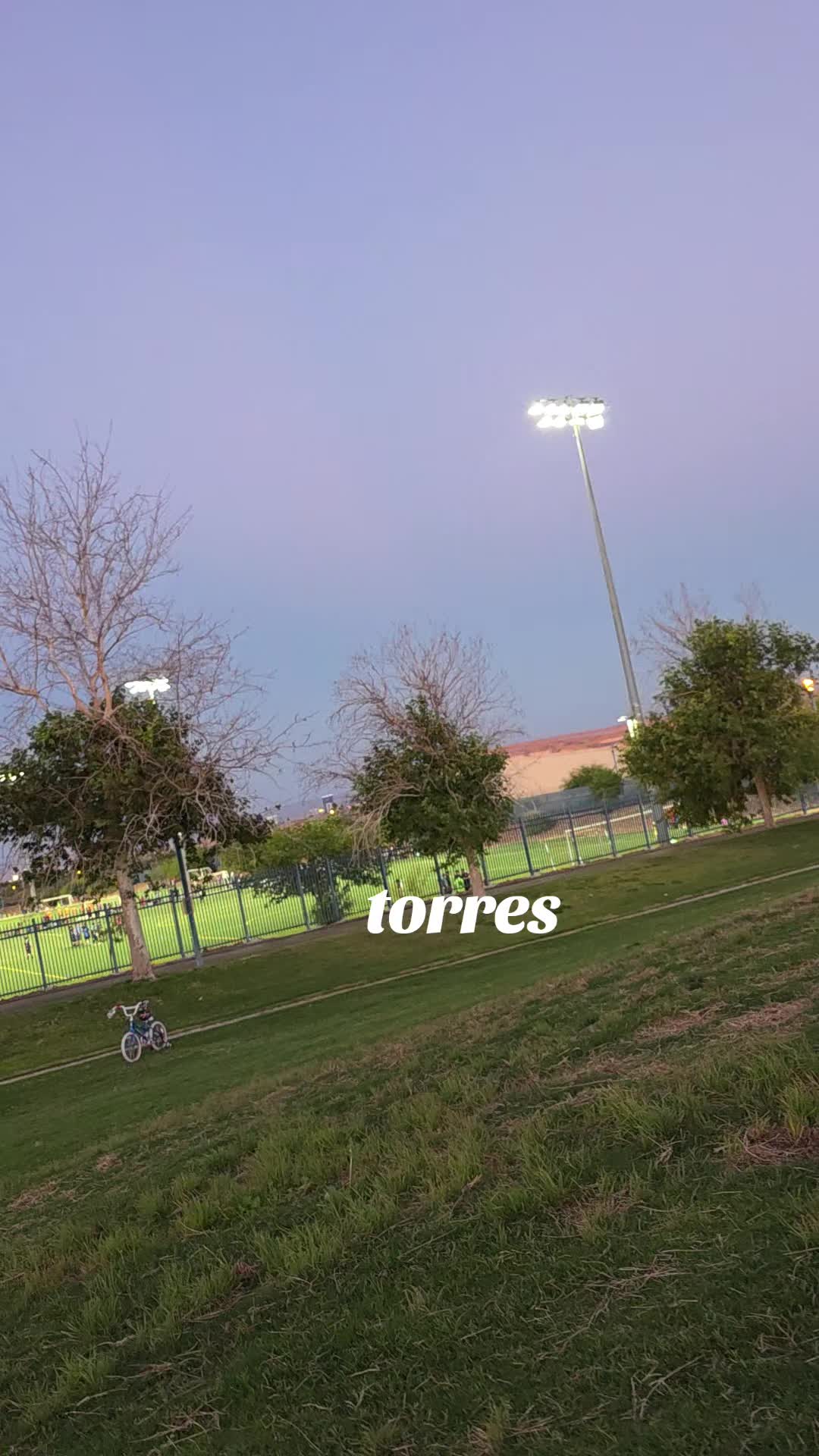 @Estela Torres