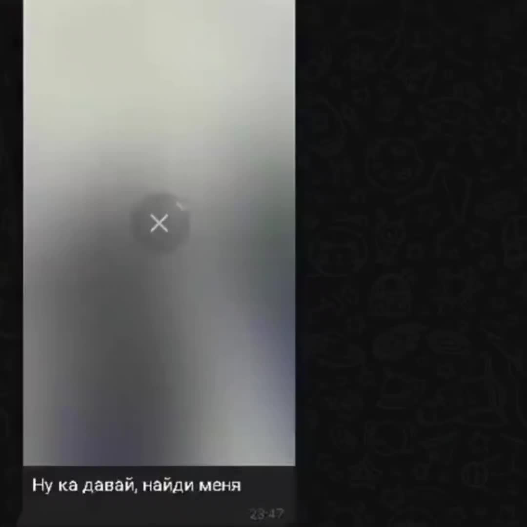 @splantboy