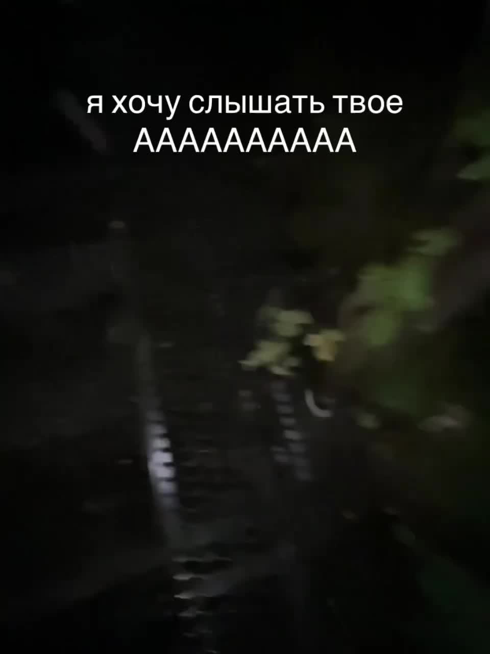 @vstddd