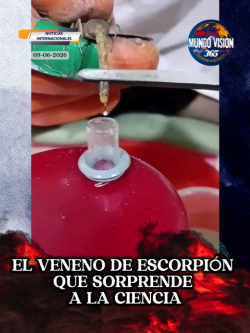 @MundoVision365