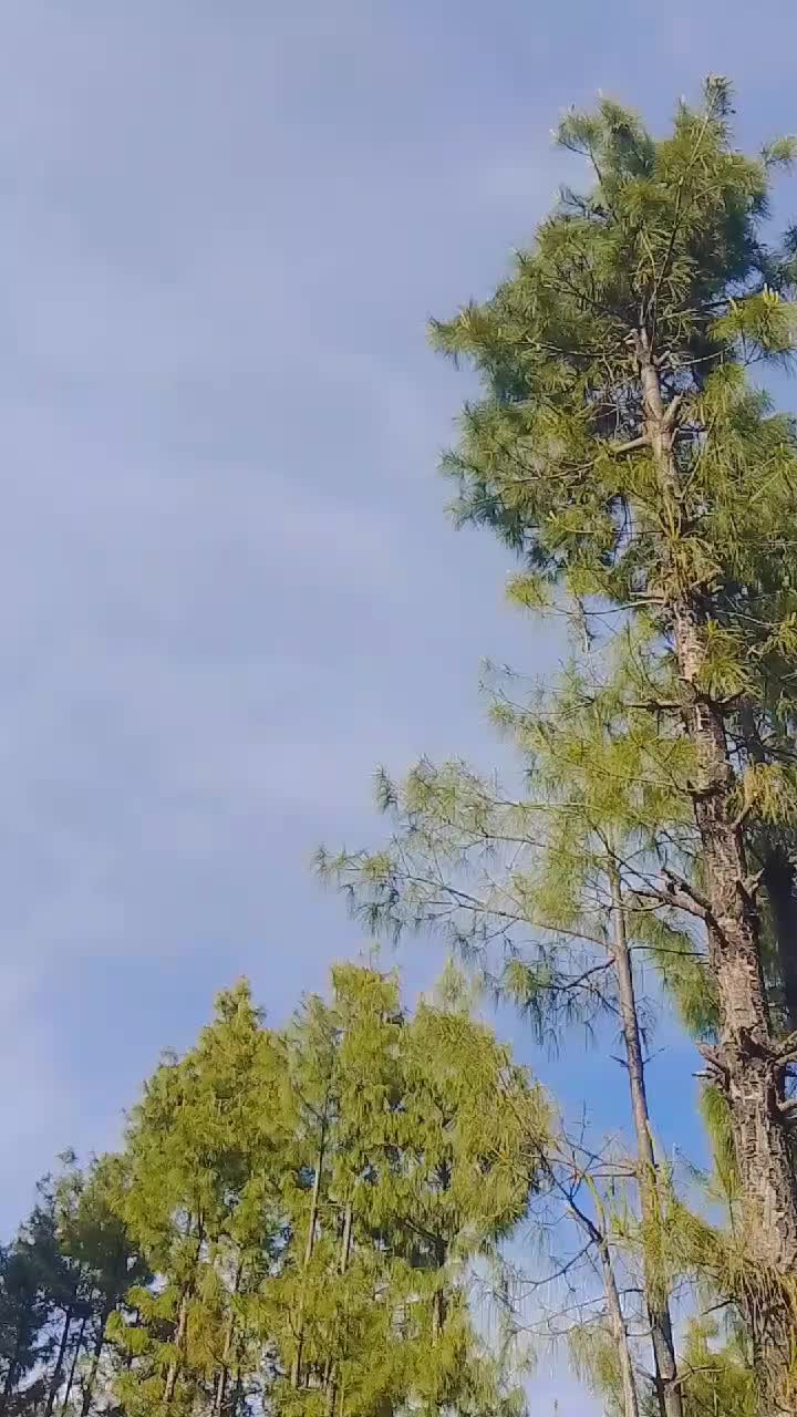 @ÎJÃZ ĂWÀŇ