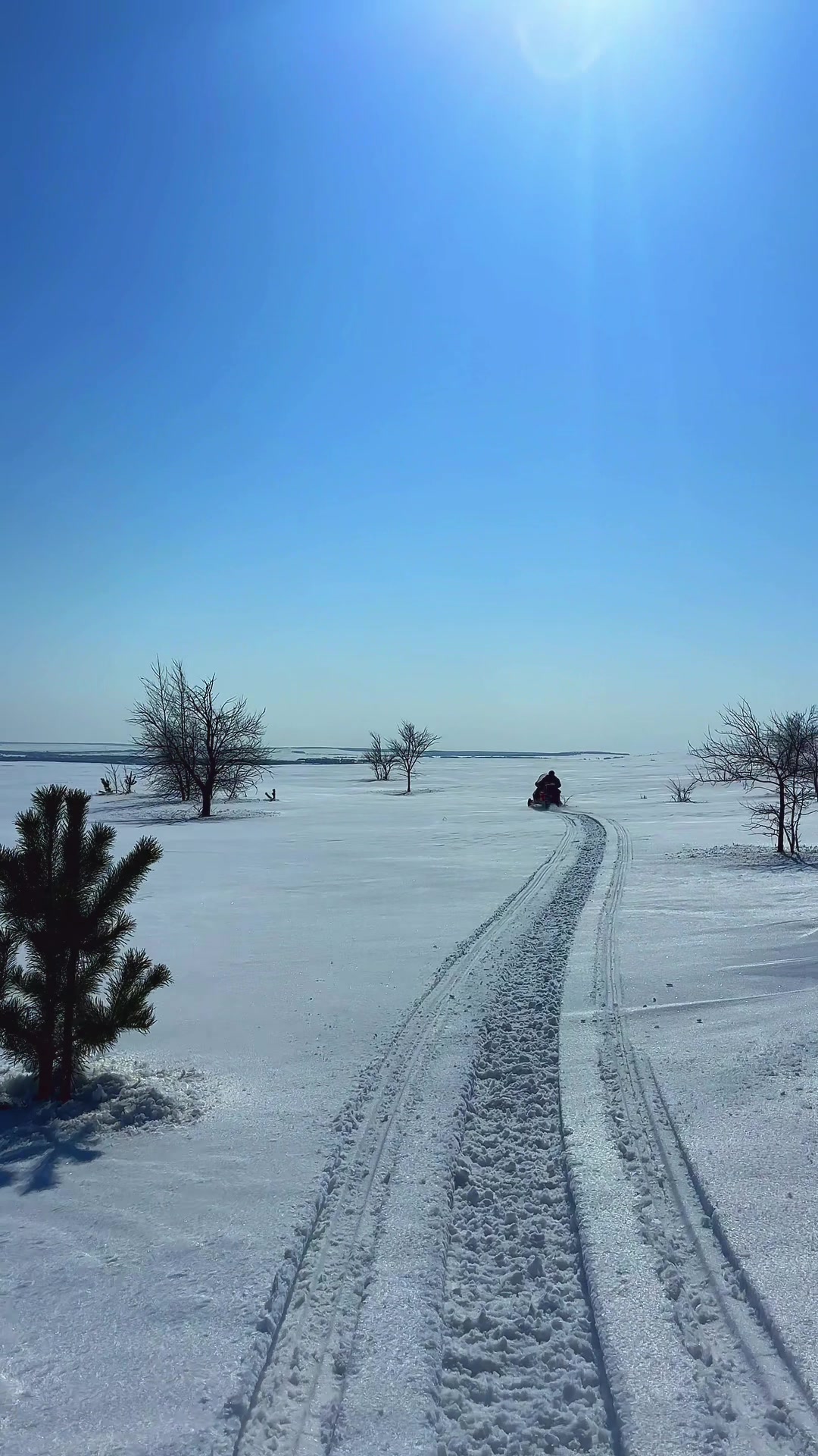 @Алена Безымянная