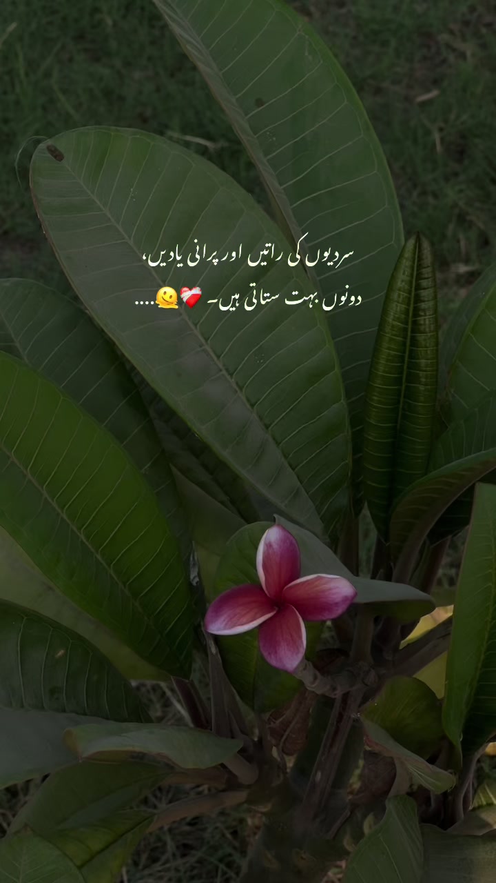 @🌸~