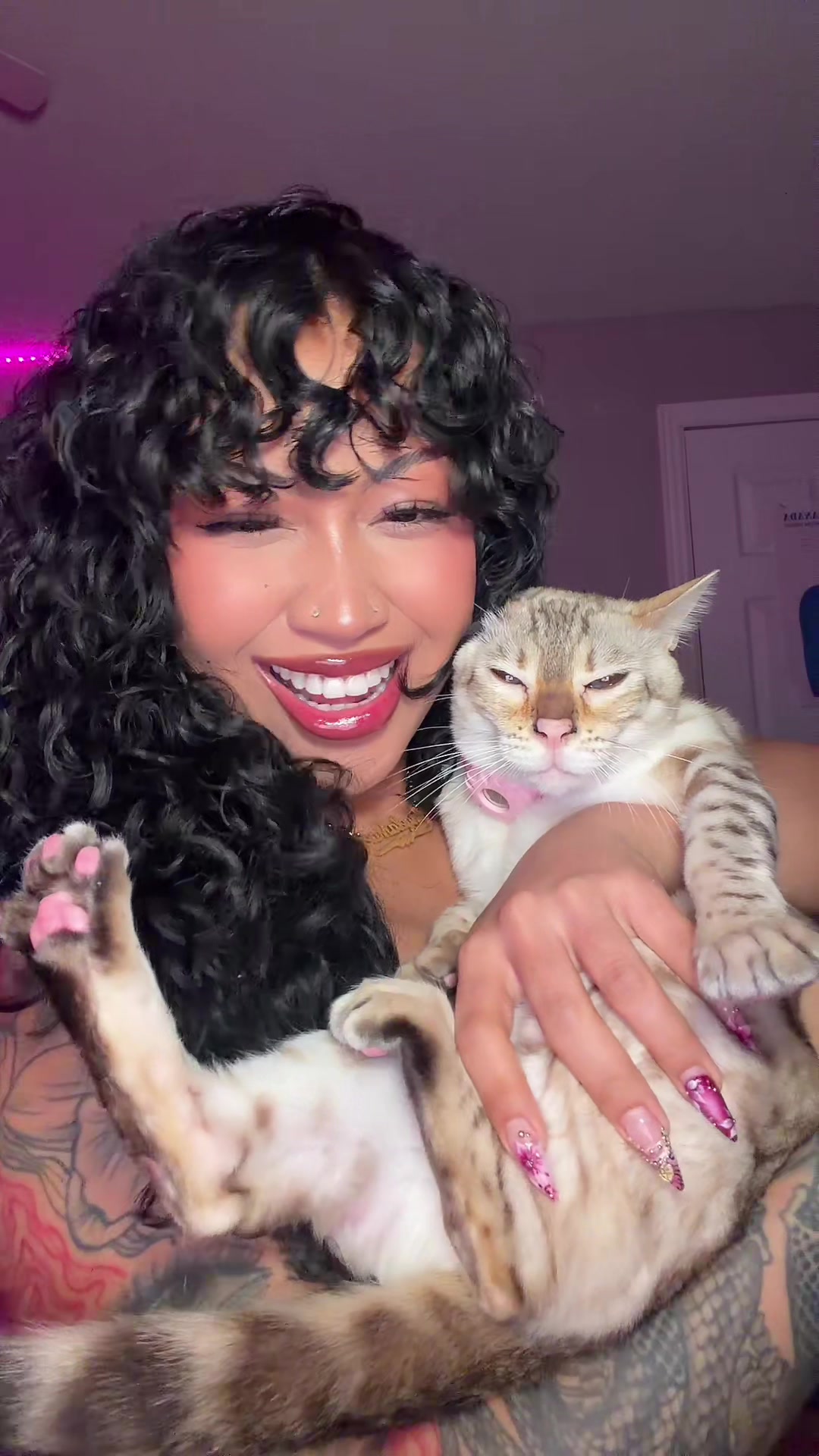 @Mirajane The Bengal🐾