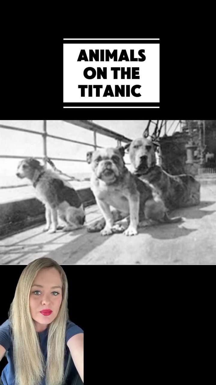 @horsegurl