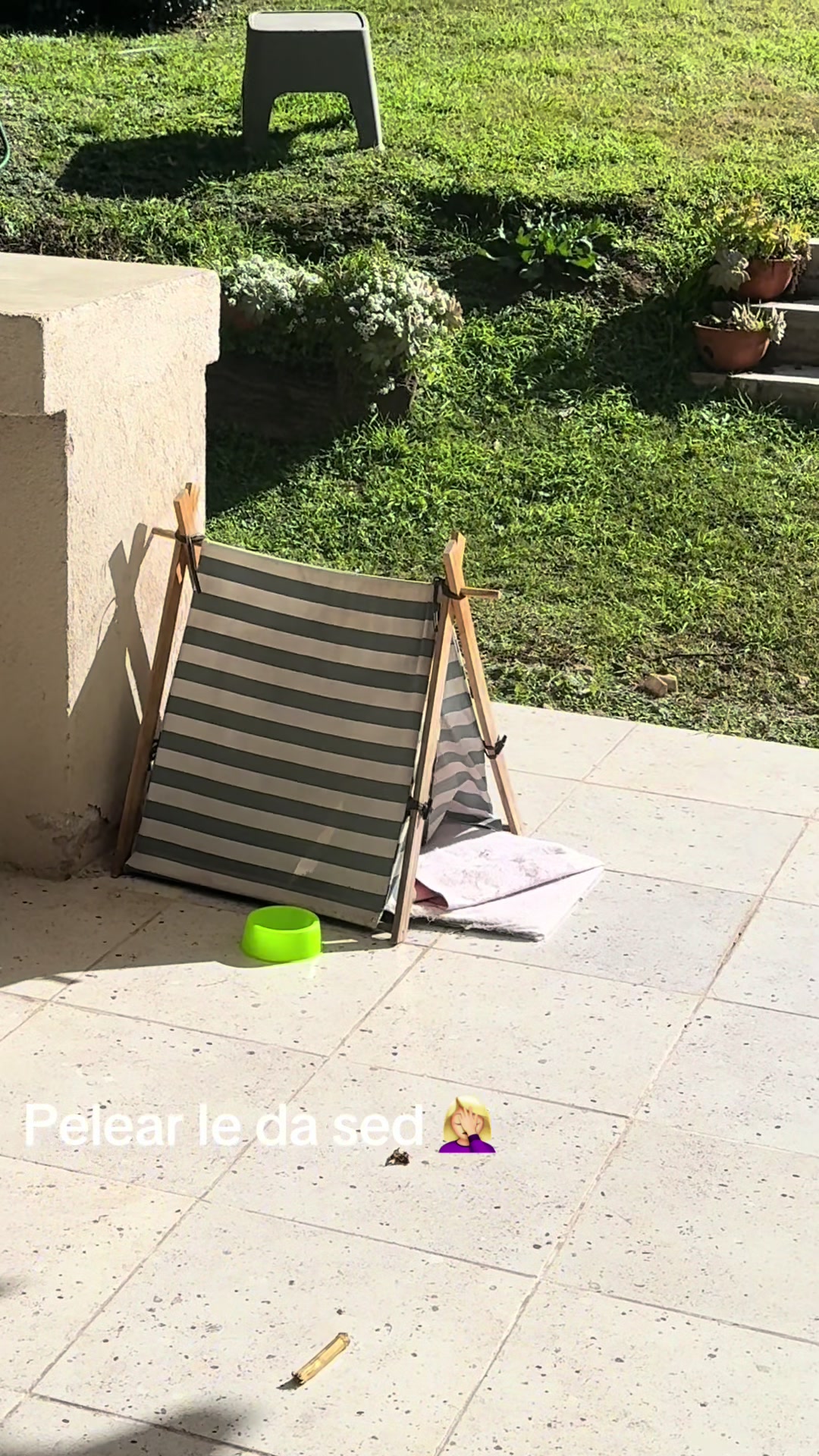 @Verina 💛