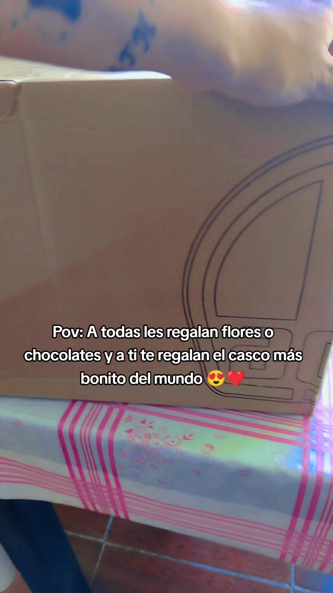 @Fernanda S&aacute;nchez