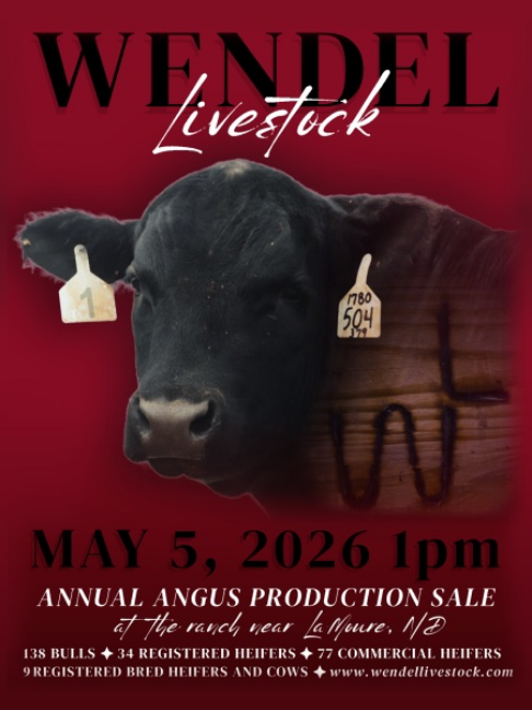 @DVAuction