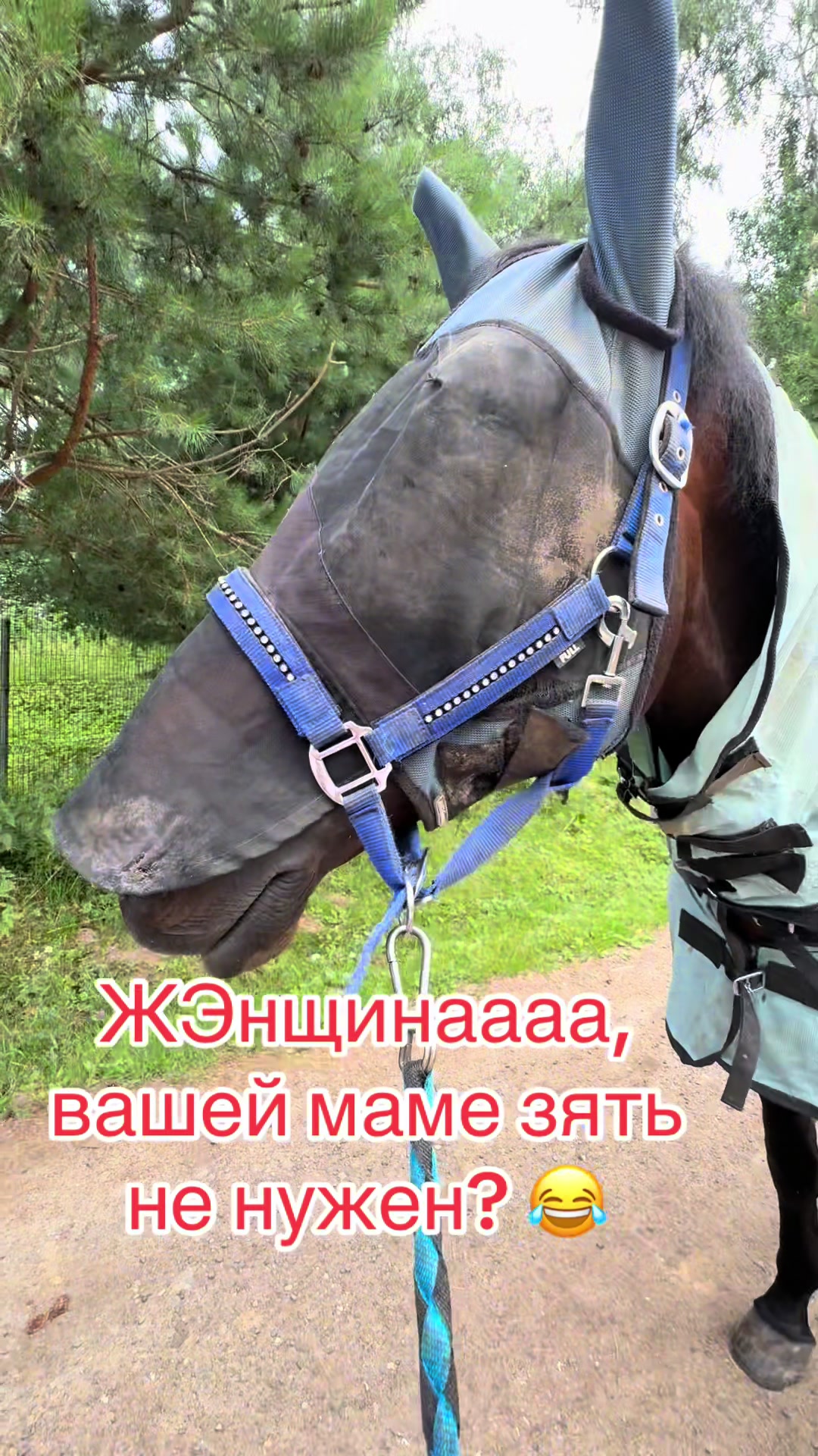 @user2639751563145