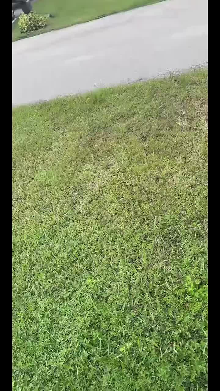 @robervidal4