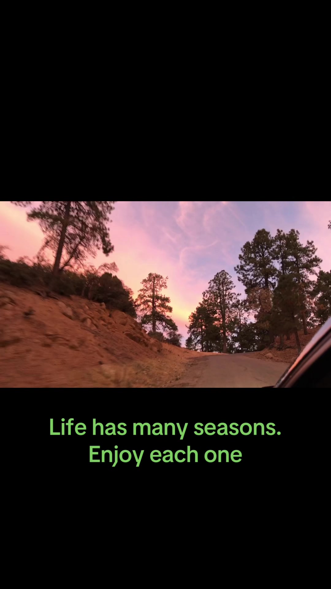 @grizzly_