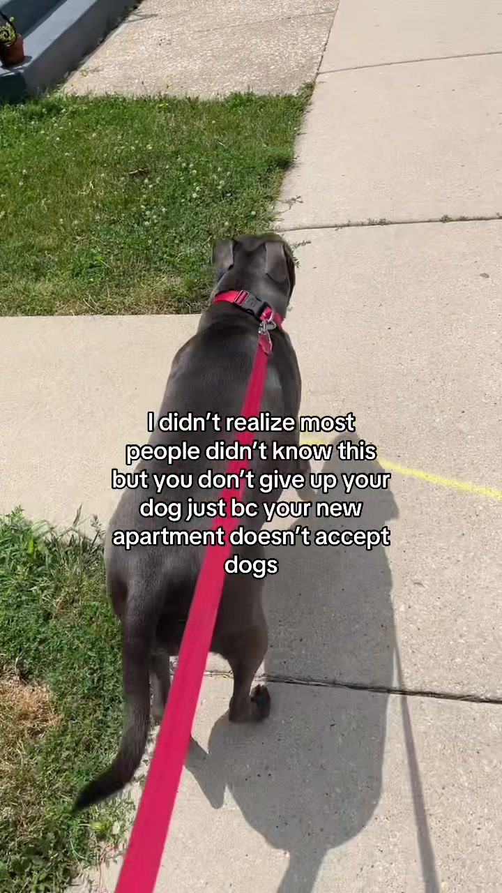 @Debbie