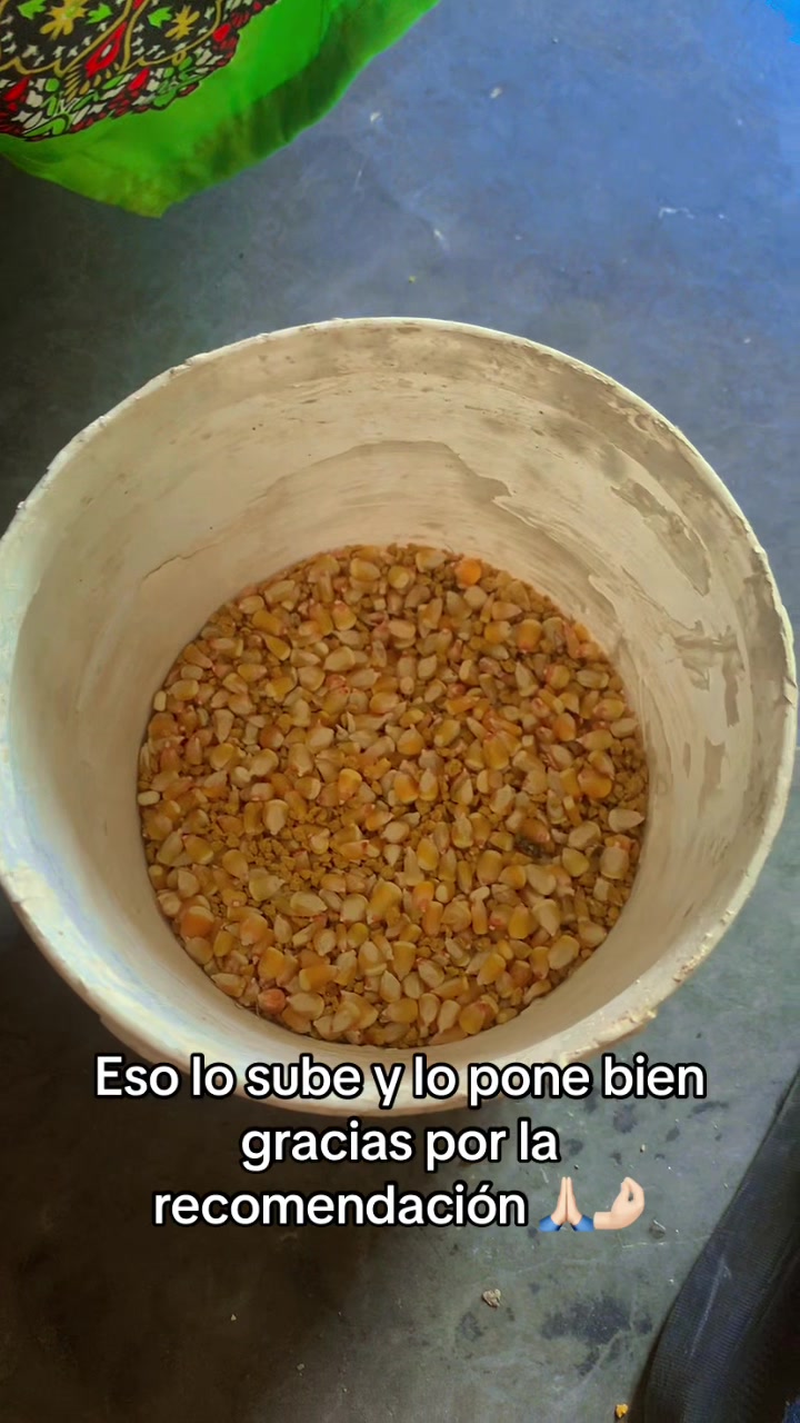 @OVNY POTENTE