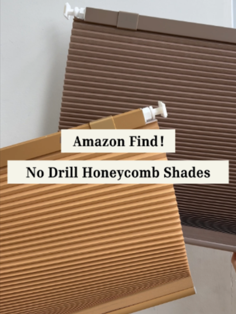 @LazBlinds