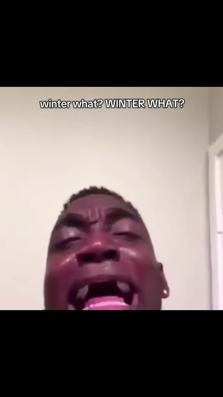 @Penguine 🍋